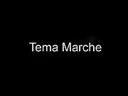 tema marche